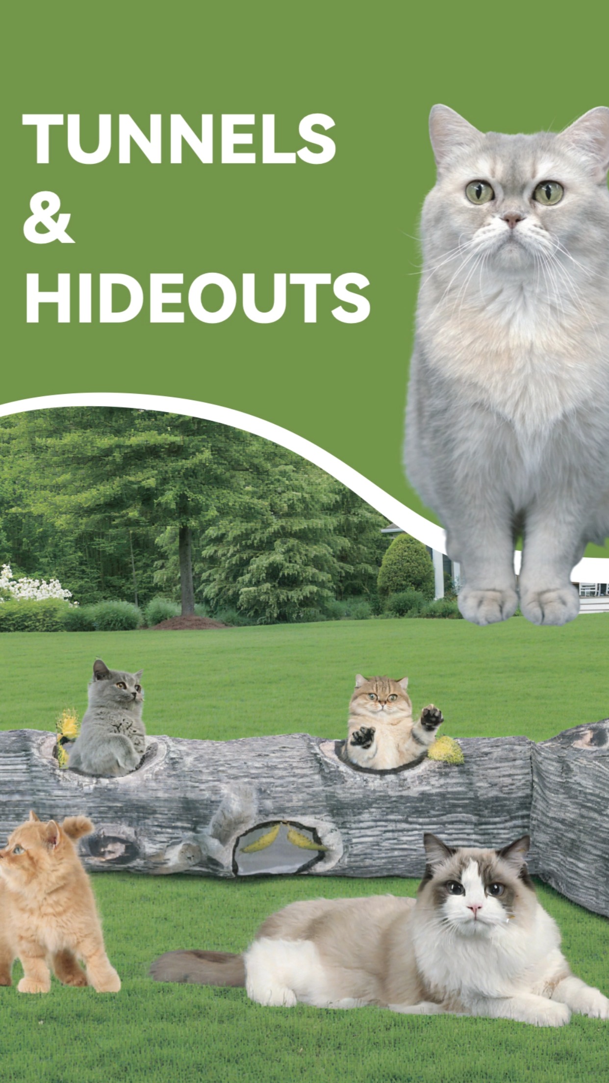 Tunnel & Hideouts