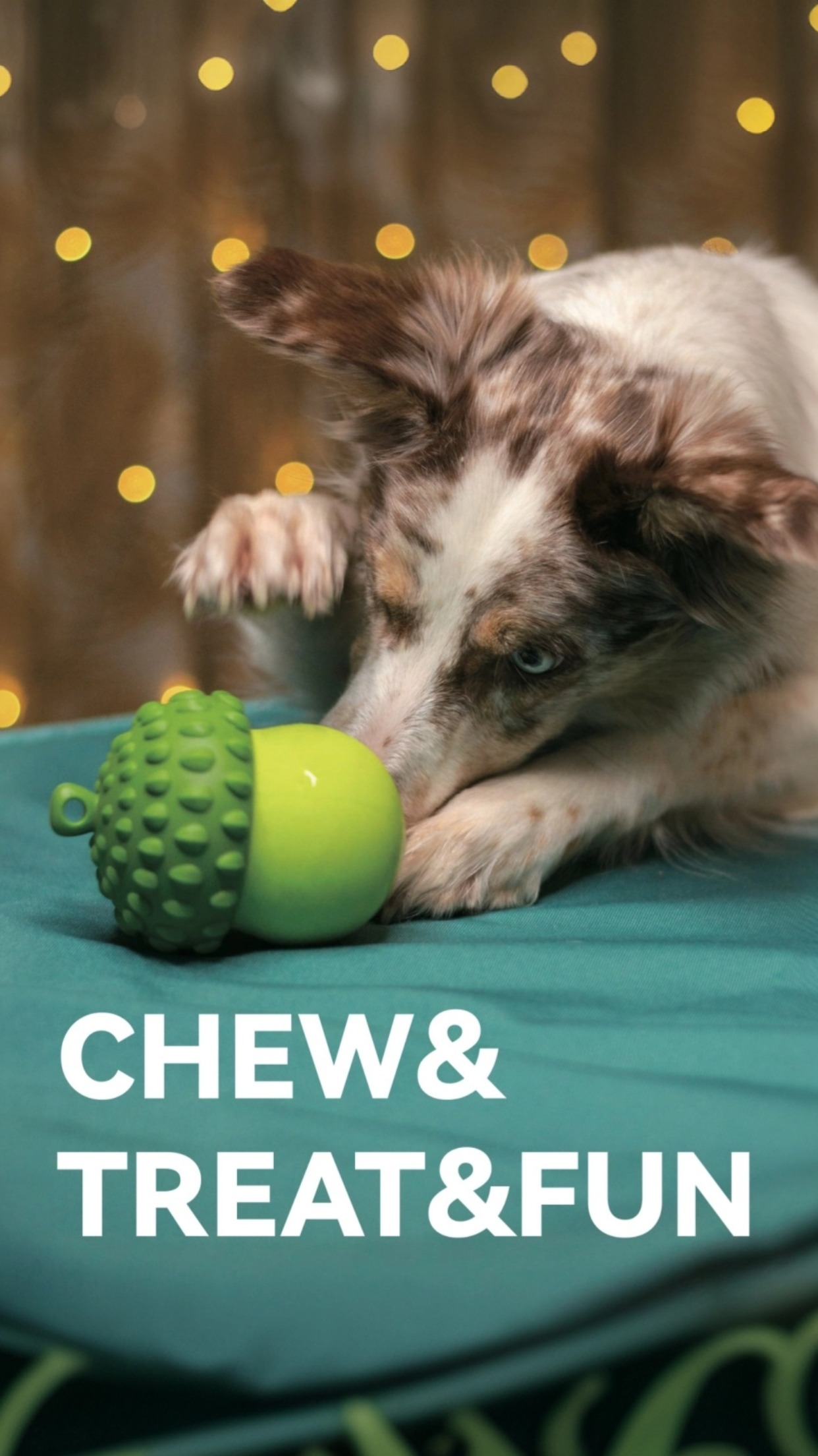 Chew Toy